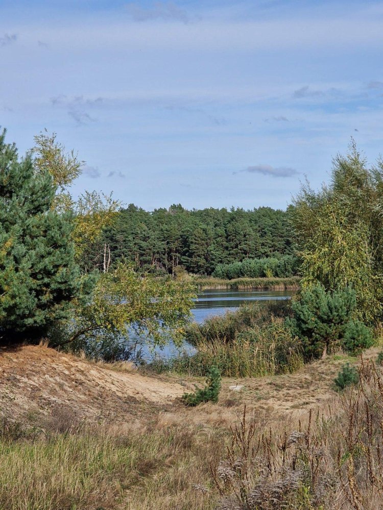 3 bedrooms Bungalow in Barnim, Germany No. 265261