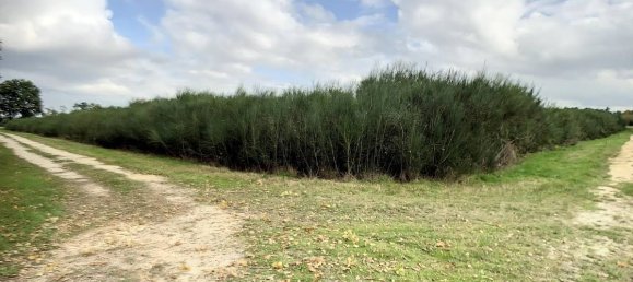  Castillos de 8 dormitorios en Presly, France No. 97484 11