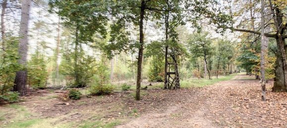  Castillos de 8 dormitorios en Presly, France No. 97484 10