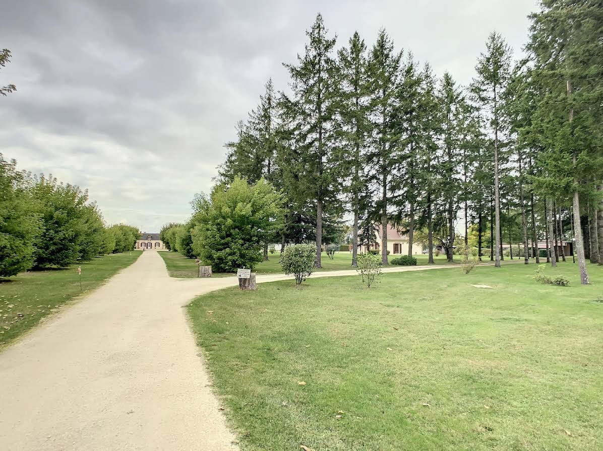  Castillos de 8 dormitorios en Presly, France No. 97484