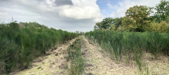  Castillos de 8 dormitorios en Presly, France No. 97484 4