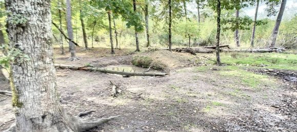  Castillos de 8 dormitorios en Presly, France No. 97484 5