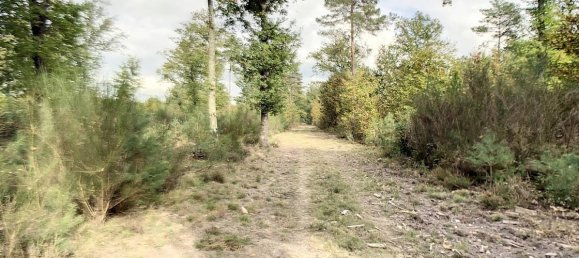  Castillos de 8 dormitorios en Presly, France No. 97484 9