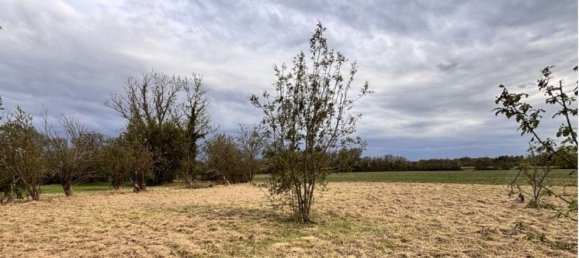 Terreno en Longages, France No. 320267 3