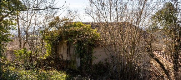5 rooms House in Violay, France No. 195625 4