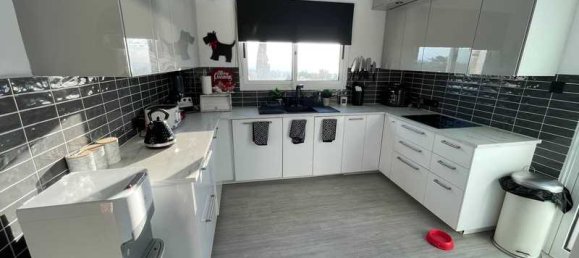 4 Schlafzimmer Villa in Tala, Cyprus, Nr. 19514 4