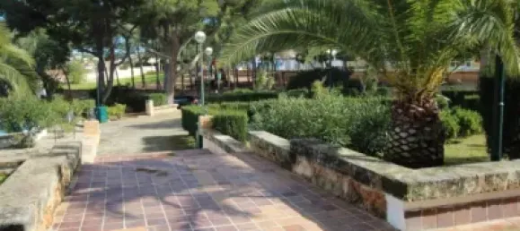 Коммерческая недвижимость 70м² в Коста Де Ла Кальма, Испания № 170985 6