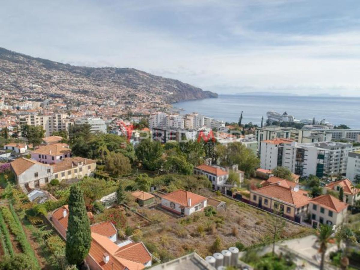 6 bedrooms House in Funchal, Portugal No. 441