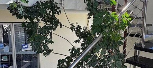 8-Zimmer Gebäude in Saarlouis, Germany, Nr. 56404 15