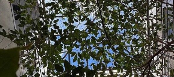 8-Zimmer Gebäude in Saarlouis, Germany, Nr. 56404 14