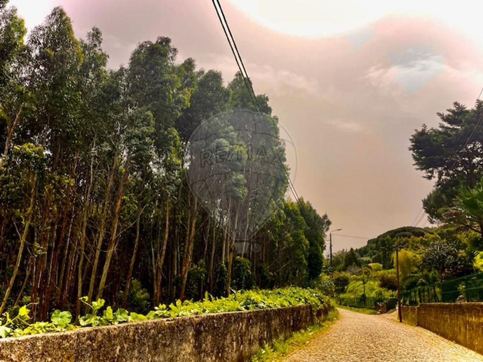 Grundstück in Sintra, Portugal, Nr. 71149