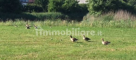 5 bedrooms Villa in Udine, Italy No. 379308 5