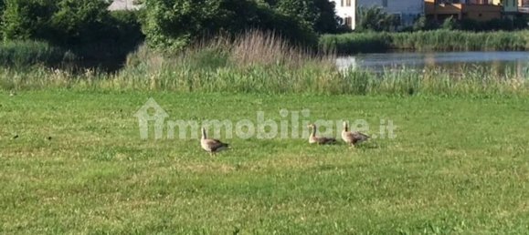 5 bedrooms Villa in Udine, Italy No. 379308 4