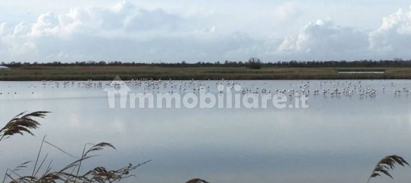 5 bedrooms Villa in Udine, Italy No. 379308 10