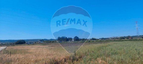 Grundstück in Palmela, Portugal 7000m², Nr. 48144 2