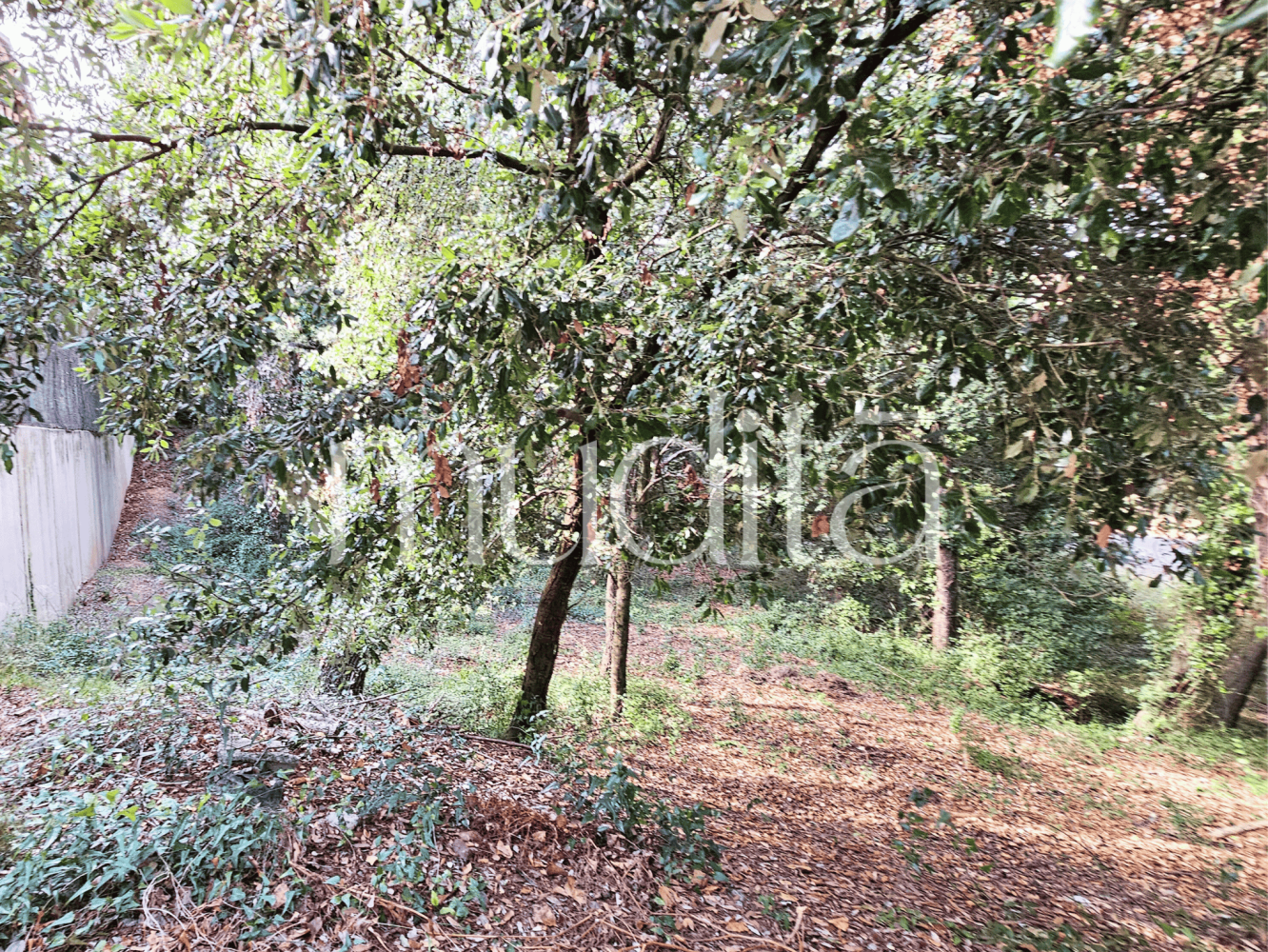 Grundstück in Sant Pere de Vilamajor, Spain 996m², Nr. 188830