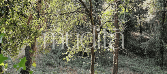 Grundstück in Sant Pere de Vilamajor, Spain 996m², Nr. 188830 22