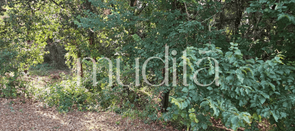 Grundstück in Sant Pere de Vilamajor, Spain 996m², Nr. 188830 19