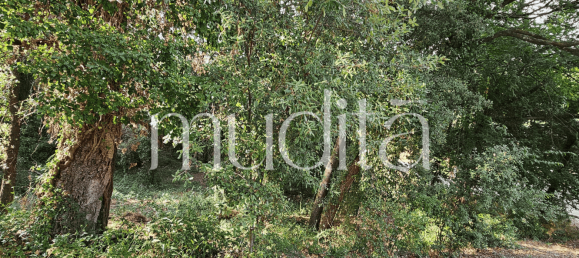 Grundstück in Sant Pere de Vilamajor, Spain 996m², Nr. 188830 3