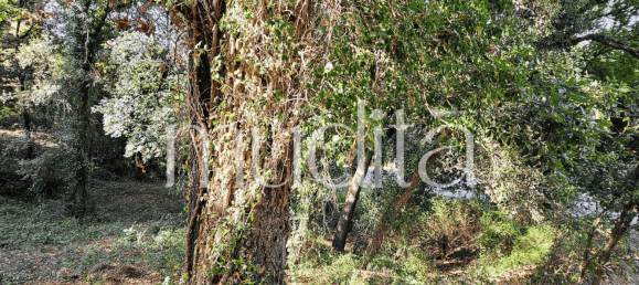 Grundstück in Sant Pere de Vilamajor, Spain 996m², Nr. 188830 20