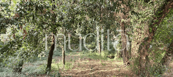 Grundstück in Sant Pere de Vilamajor, Spain 996m², Nr. 188830 5