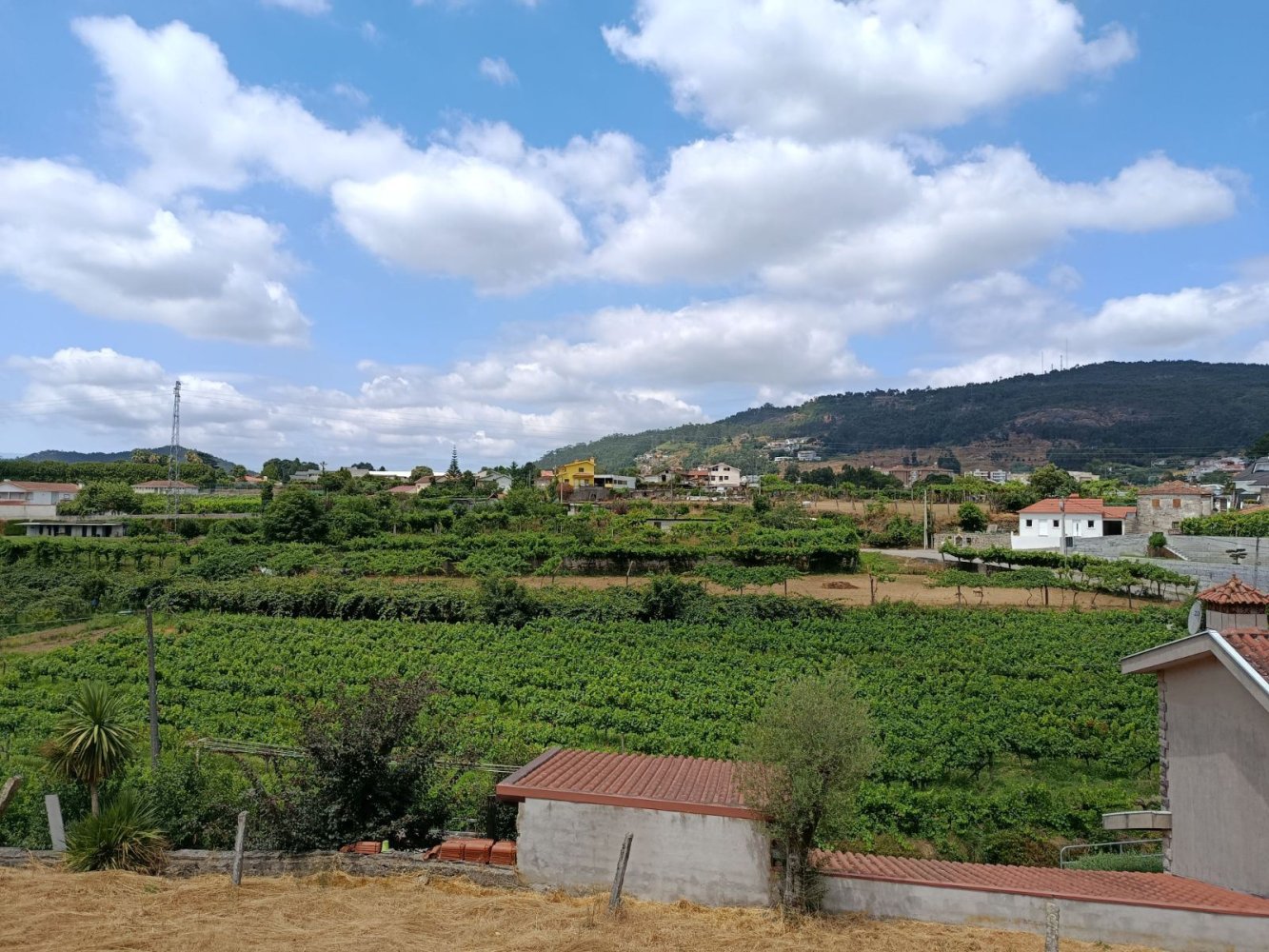 2 bedrooms House in Baltar, Portugal No. 228680