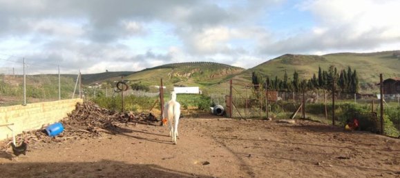 2 bedrooms House in Andalusia, Spain No. 160210 30