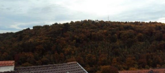 5 Schlafzimmer Stadthaus in Bad Dürkheim, Germany, Nr. 217766 12