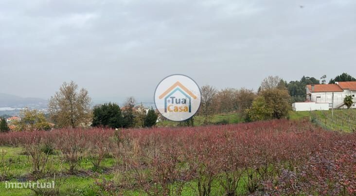 Grundstück in Amarante, Portugal 7281m², Nr. 245820