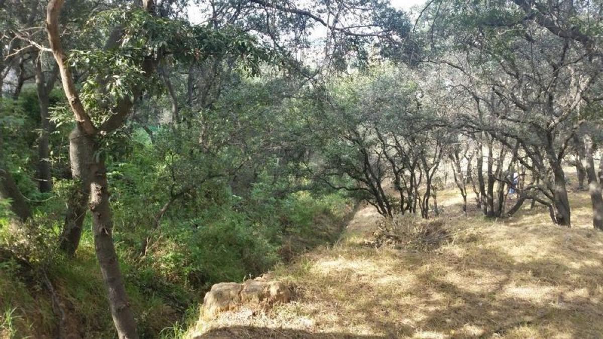  قطعة أرض في Ciudad Lopez Mateos, Mexico رقم 205932