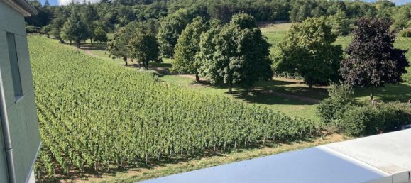 2 rooms Apartment in Chenove, France No. 344353 6