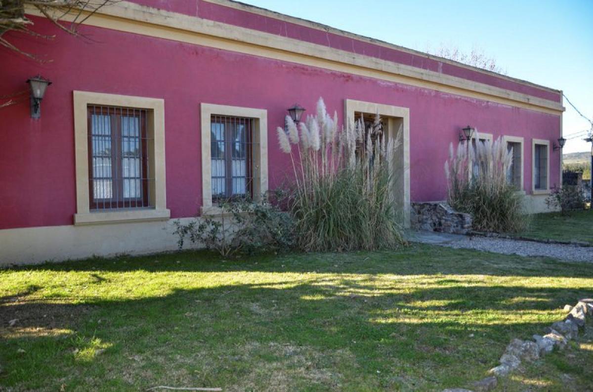  Farm in Maldonado, Uruguay No. 14262