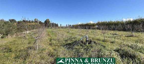 Estudio en Oristano, Italy No. 31526 23