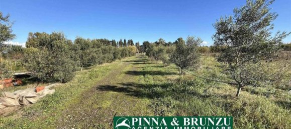 Estudio en Oristano, Italy No. 31526 25