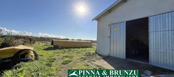 Estudio en Oristano, Italy No. 31526 4