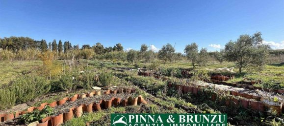 Estudio en Oristano, Italy No. 31526 27