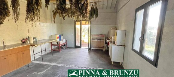 Estudio en Oristano, Italy No. 31526 16