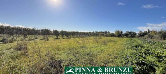 Estudio en Oristano, Italy No. 31526 19