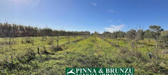 Estudio en Oristano, Italy No. 31526 24