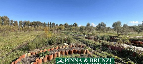 Estudio en Oristano, Italy No. 31526 26