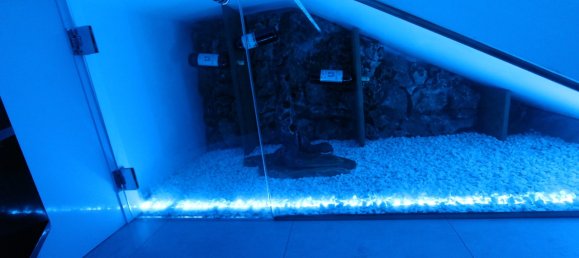 Вилла с 4 спальнями в Кальпе, Испания № 58686 26