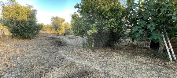 Casa de 3 dormitorios en Evora, Portugal No. 22725 7