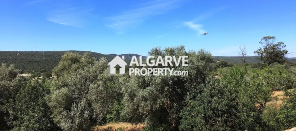 6 bedrooms Villa in Loule, Portugal No. 128519 26