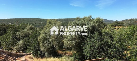 6 bedrooms Villa in Loule, Portugal No. 128519 25