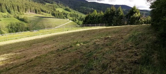 10 rooms House in Spital am Semmering, Austria No. 176267 14