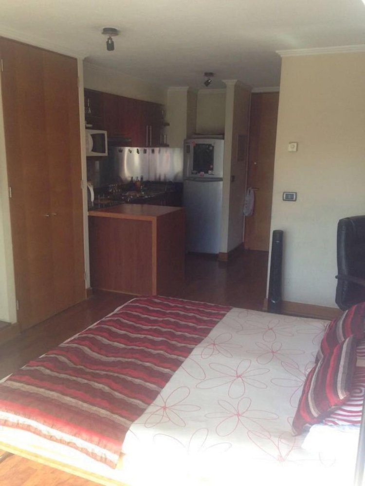 Studio in Santiago, Chile No. 3861