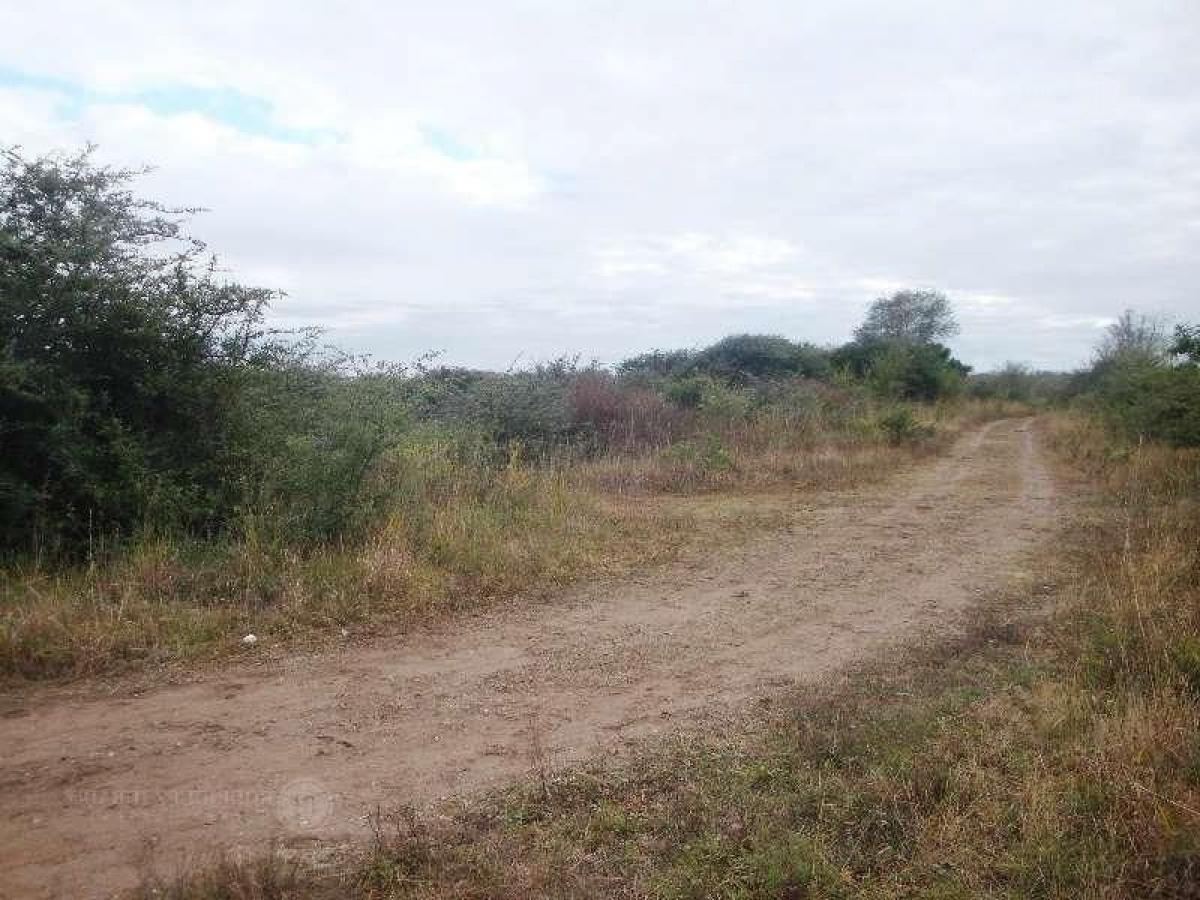  Land in Cordoba, Argentina No. 39110