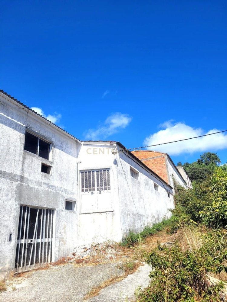 2100m² Warehouse in Alcobaca, Portugal No. 328517