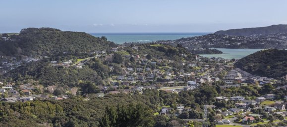 10600m² Land in Whitby, New Zealand No. 167 8