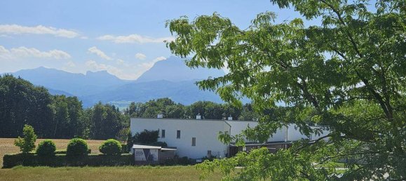 2 bedrooms Apartment in Ohlsdorf, Austria No. 203909 3